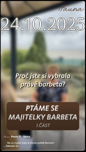 popis druhého obrázku